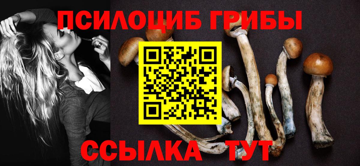 Таганрог  закладка  Вход с VPN  Галлюциногенные грибы мицелий  Галлюциногенные грибы мухоморы 